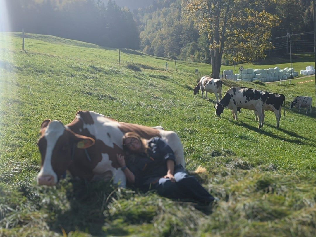 Hug & Mooh-Petit-Va必去景点