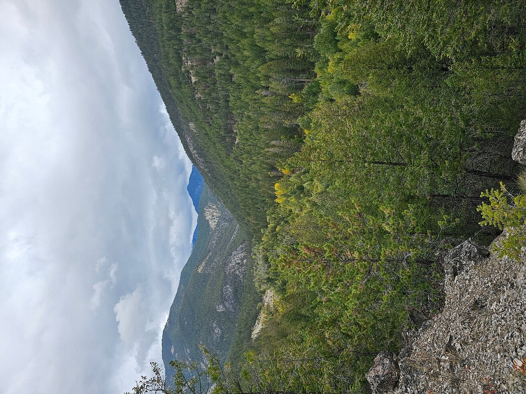 Windermere Creek Bed and Breakfast Cabins主图