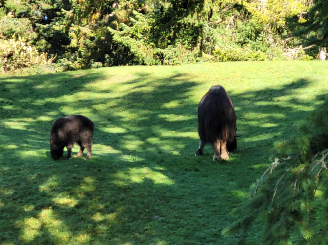 Point Defiance Zoo & Aquarium景点图片