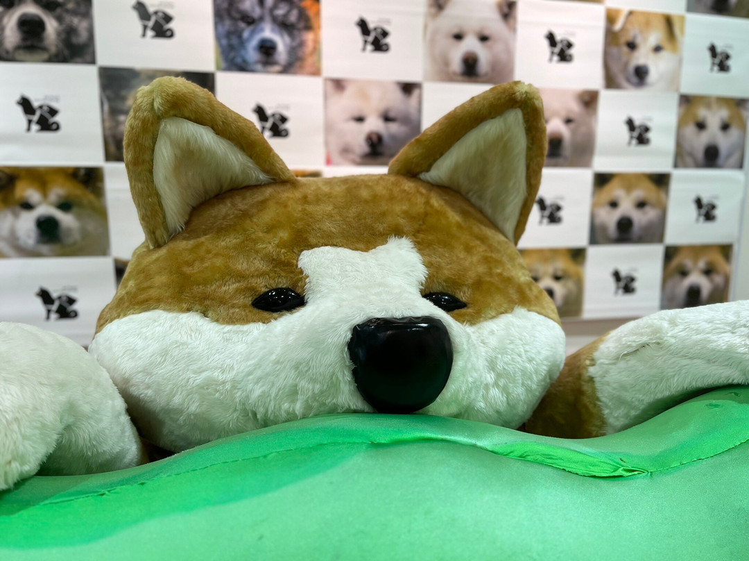 Akita Inu no Sato-大馆市必去景点
