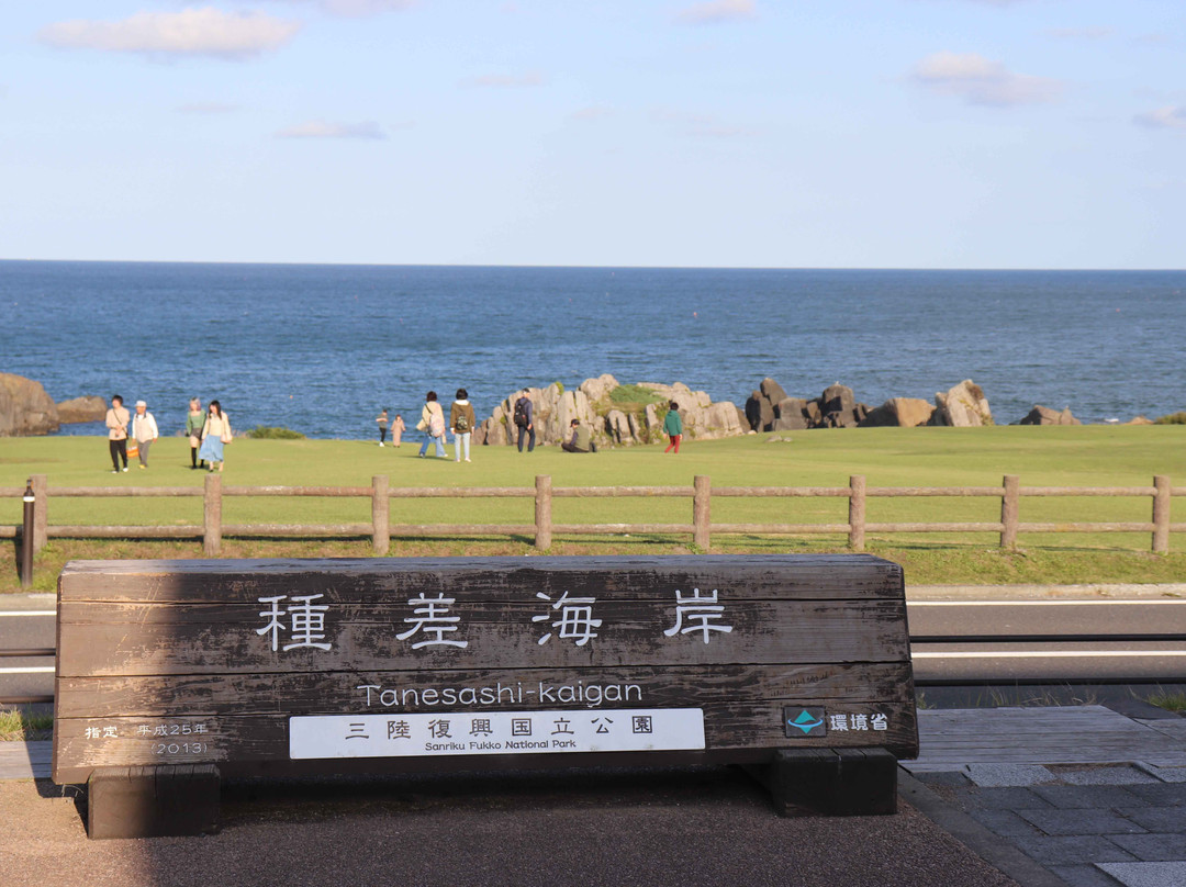 Tanesashi Coast景点图片