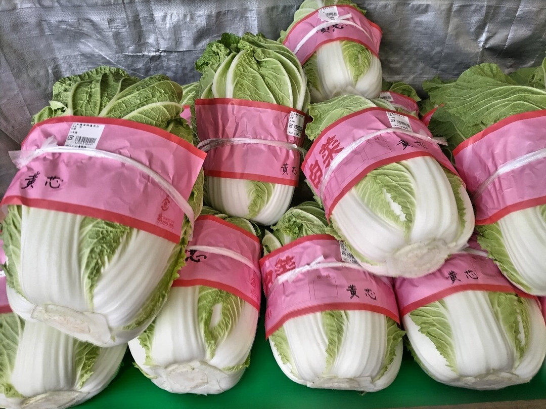 Michi-no-Eki Kawamoto-深谷市必去景点