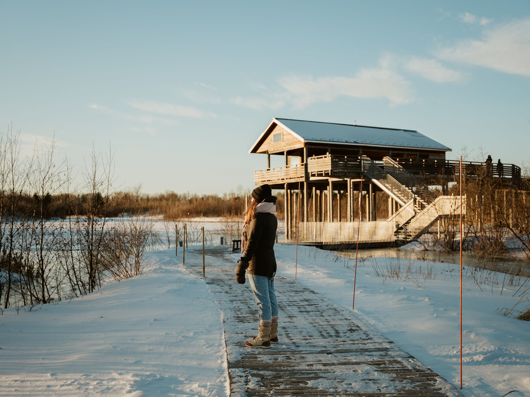Domaine Taschereau-Parc Nature-Sainte-Marie必去景点