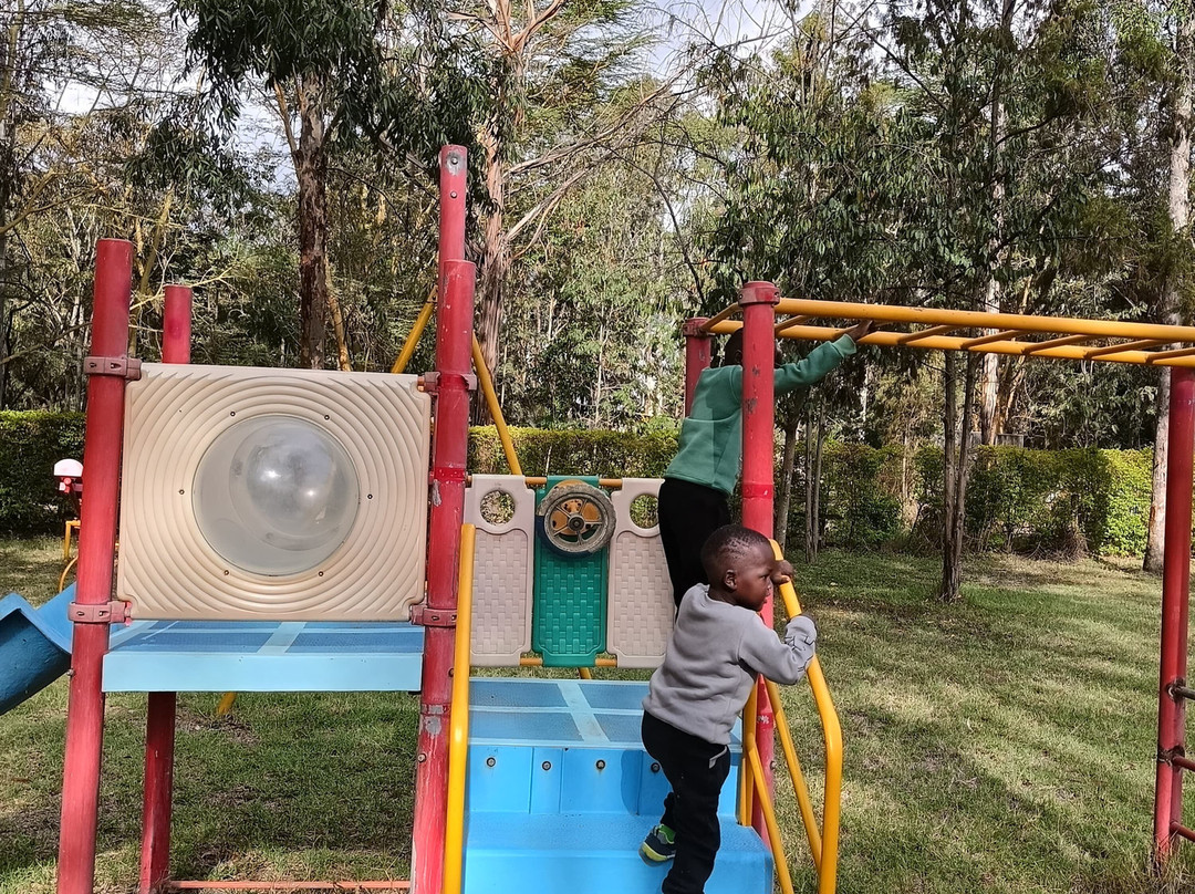 奈瓦沙索帕湖狮子木屋旅馆主图