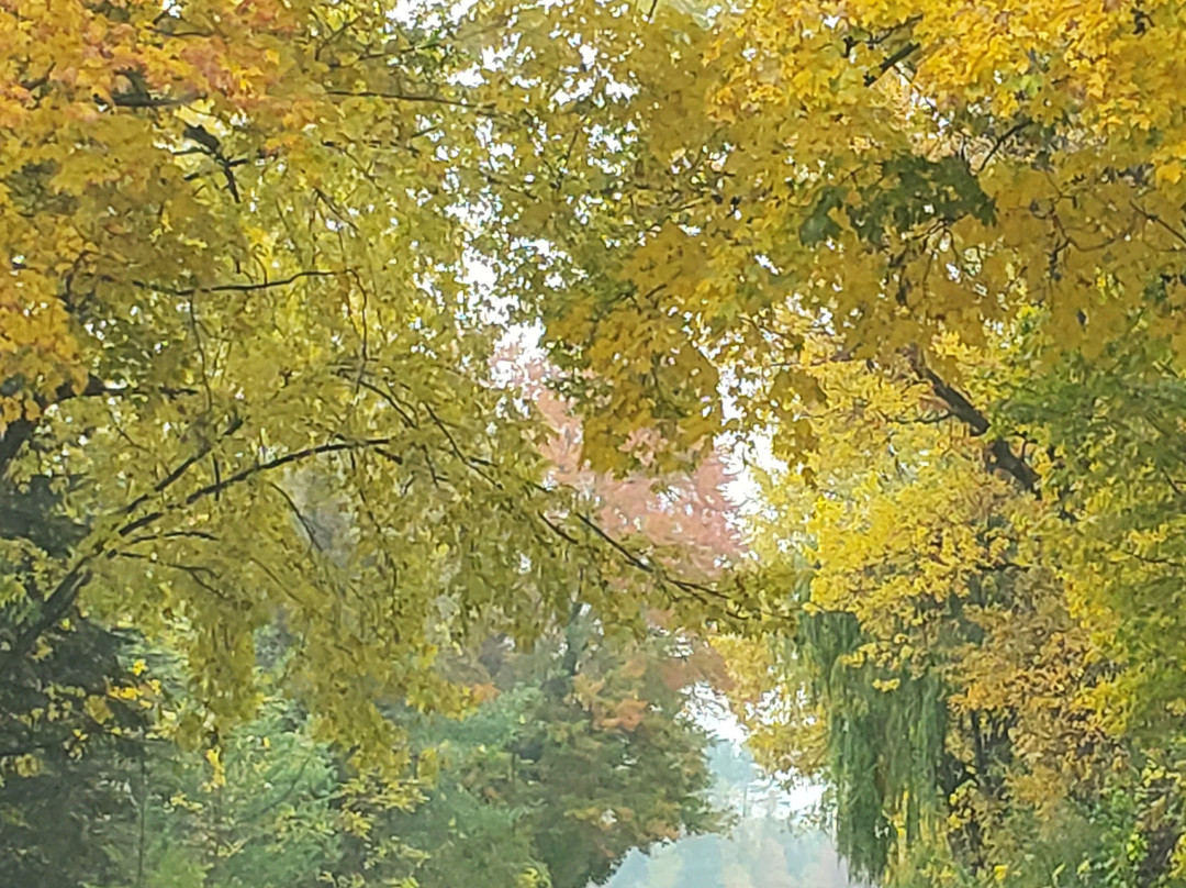 Black River Inn B&B主图