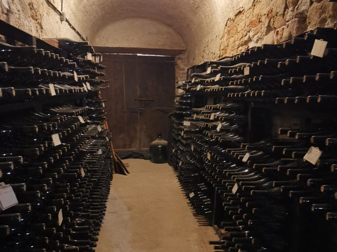 Cantine Castello di Verduno-Verduno必去景点