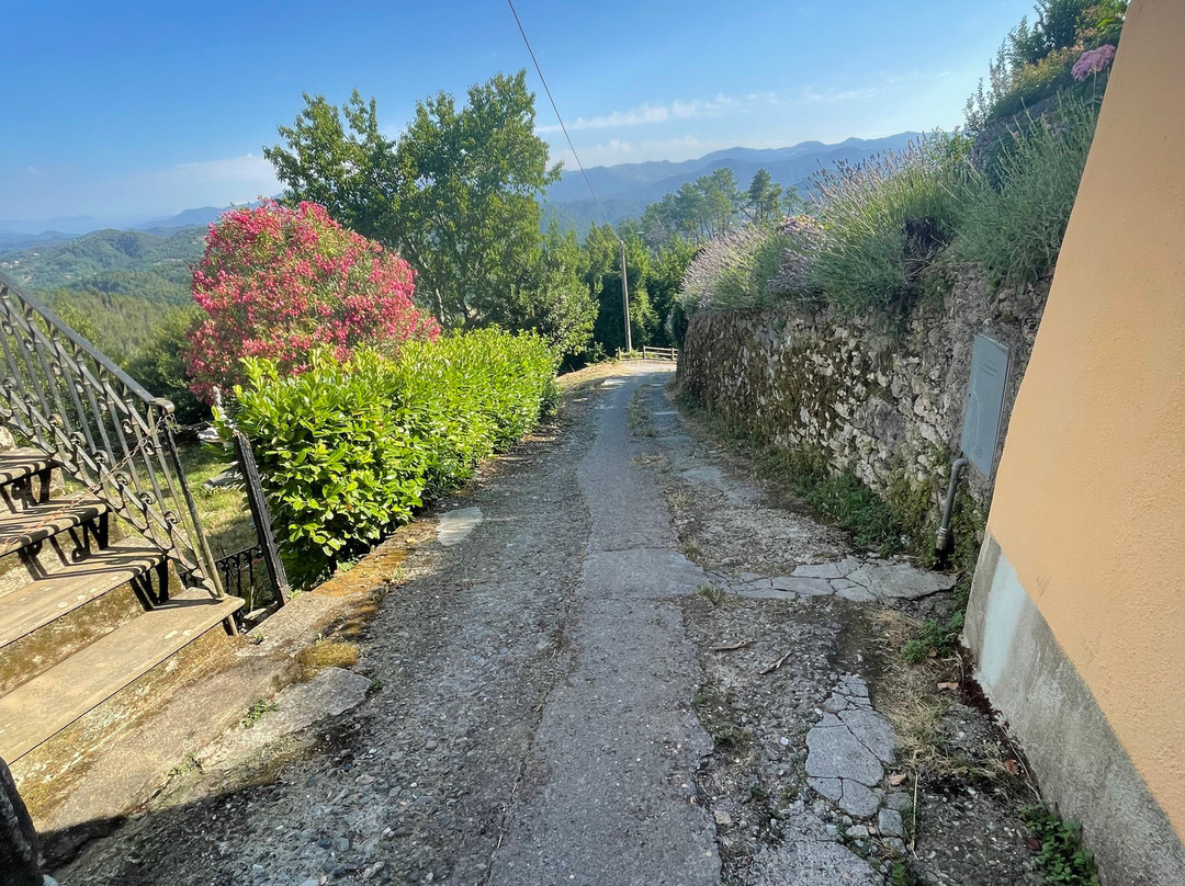 La Campana D'Oro主图