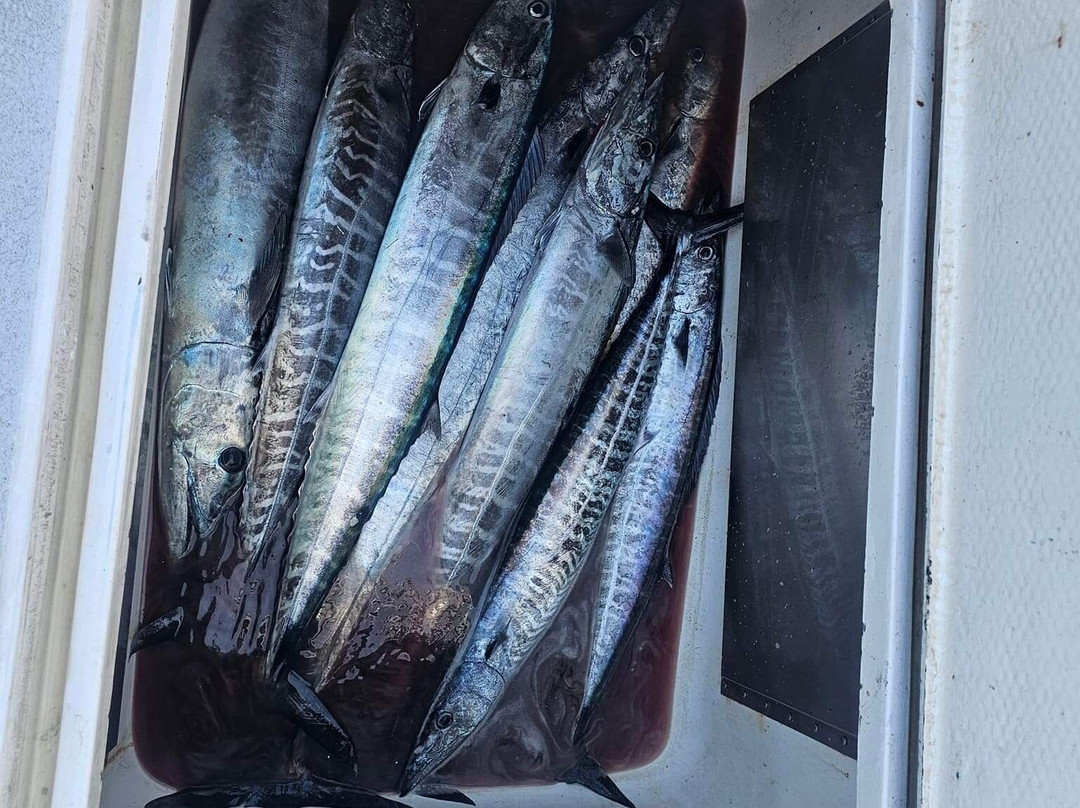 Grand Slam Fishing Charters-Turtle Cove必去景点