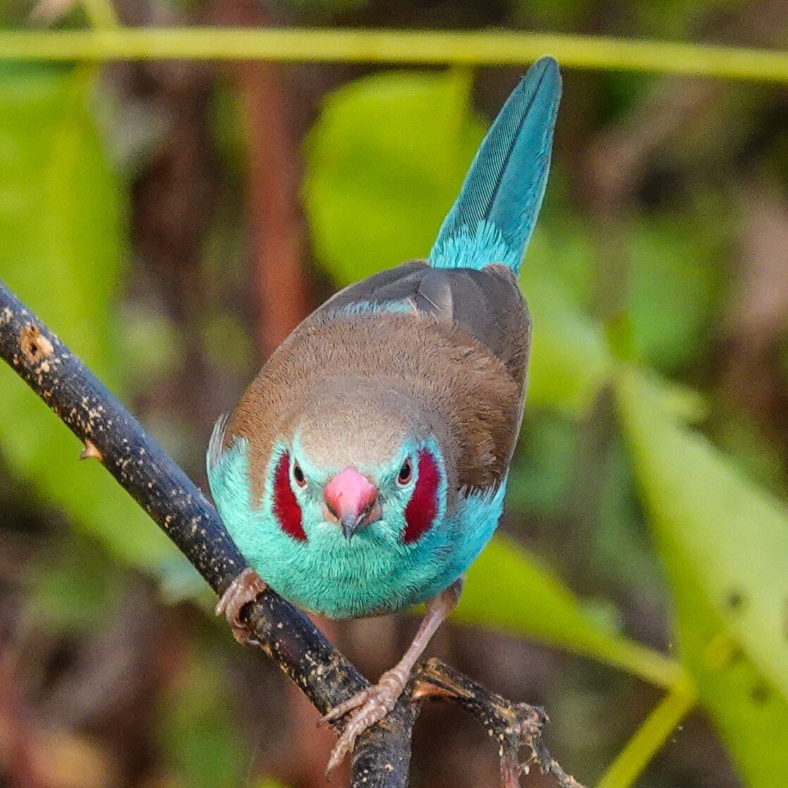 Lemon Creek Hotel Resort-浴室