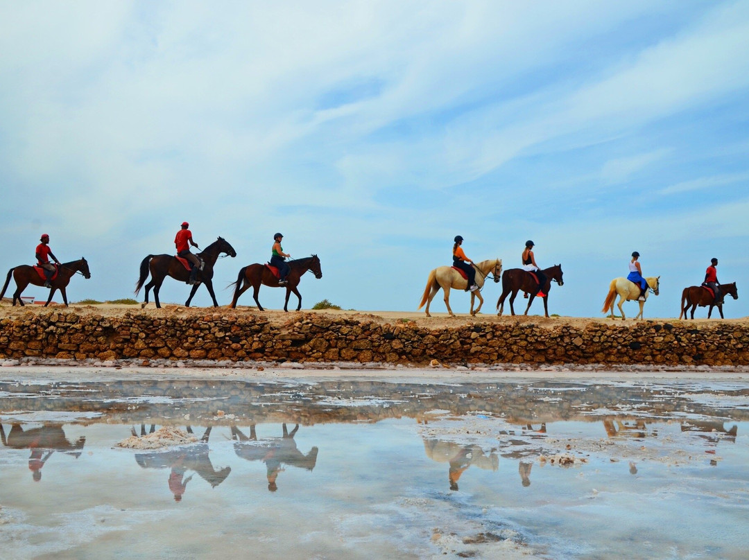 Santa Marilha Horse Excursions景点图片