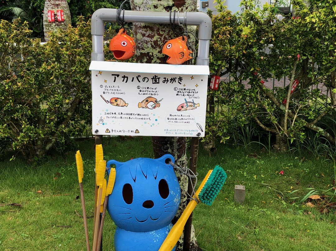 Ogasawara Marine Product Center-Chichi-jima必去景点