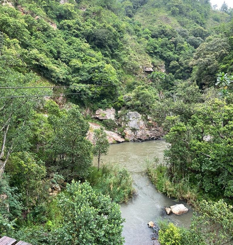 Magoebaskloof Canopy Tours-海纳茨堡必去景点