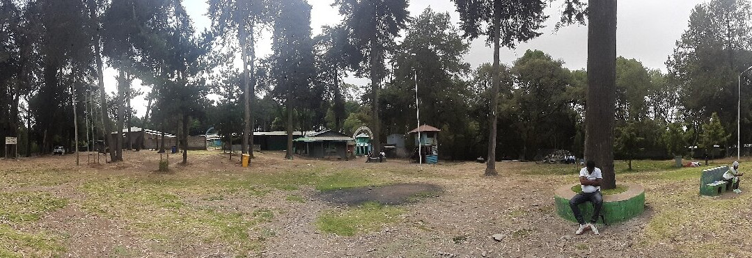 Menagesha Suba Forest Park景点图片