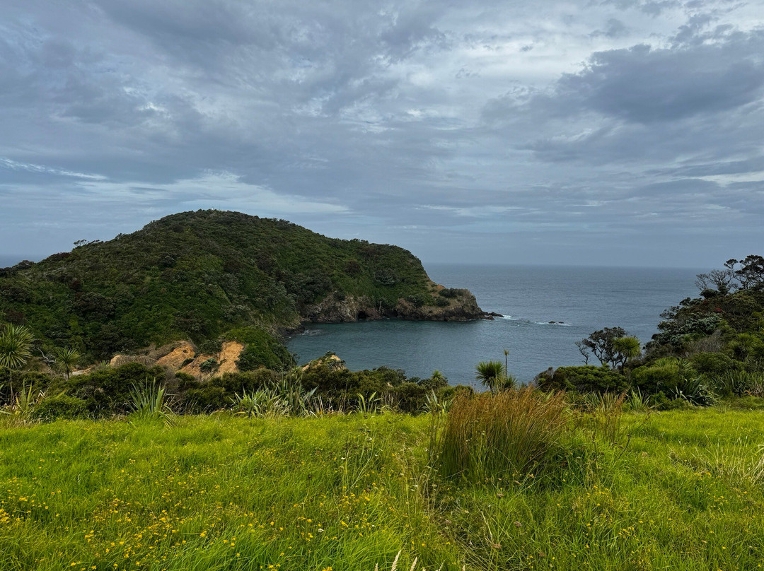 Tutukaka Headland景点图片