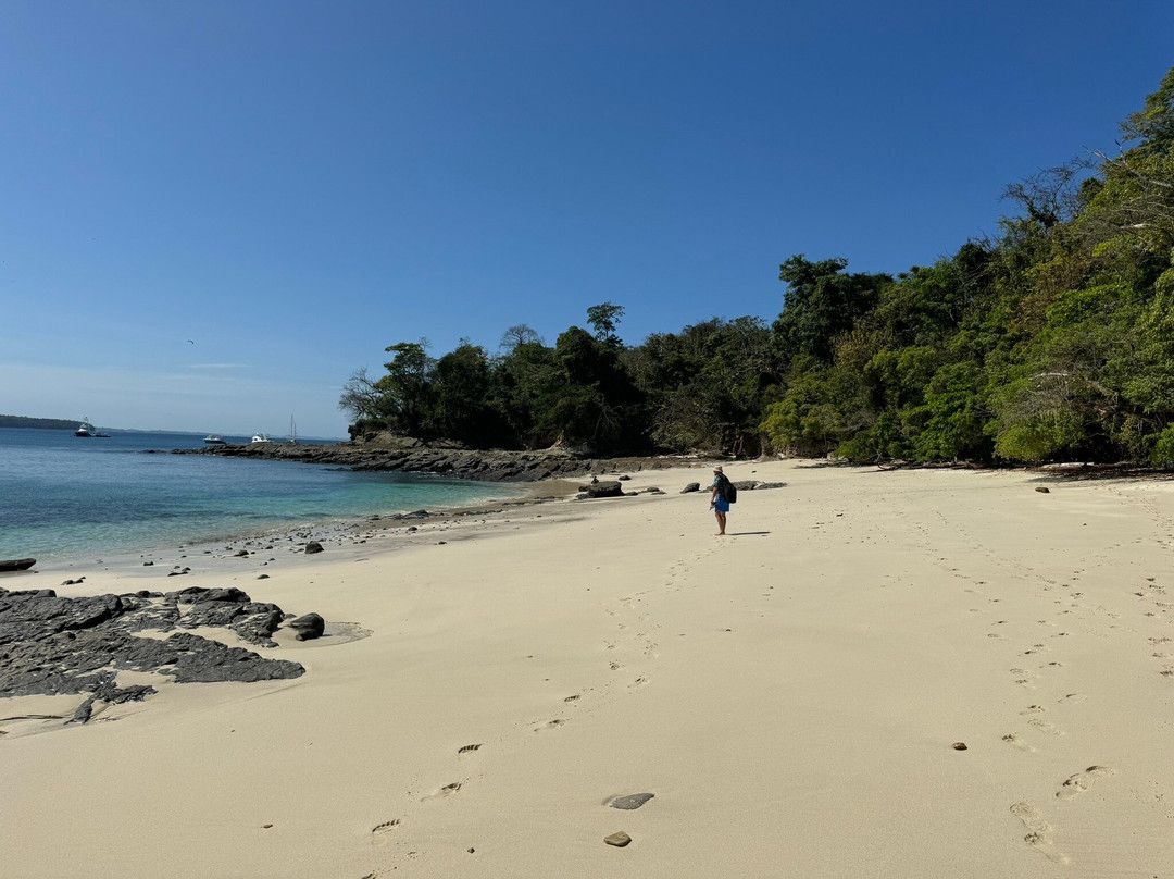 Contadora Island Inn主图