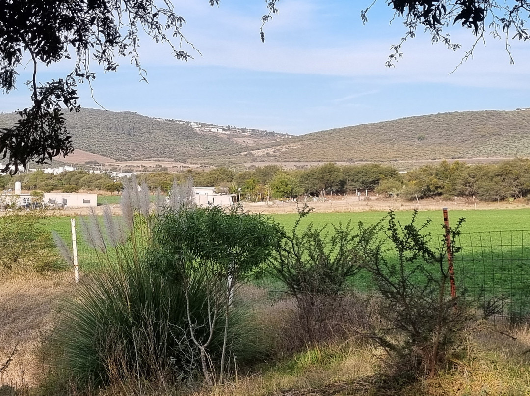 Finca las Luciérnagas景点图片