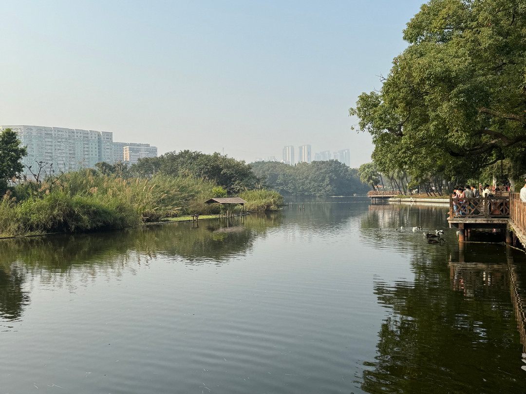 流花湖公园景点图片