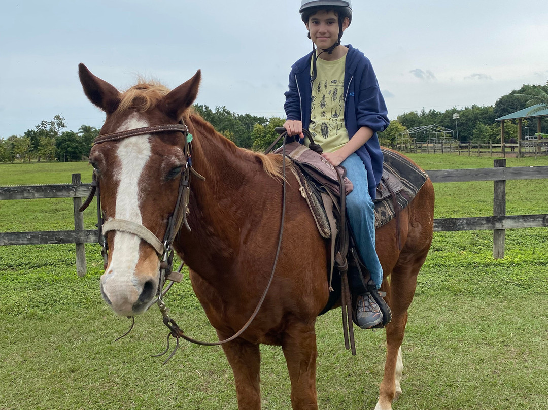 Redland Equestrian Center-霍姆斯特德必去景点