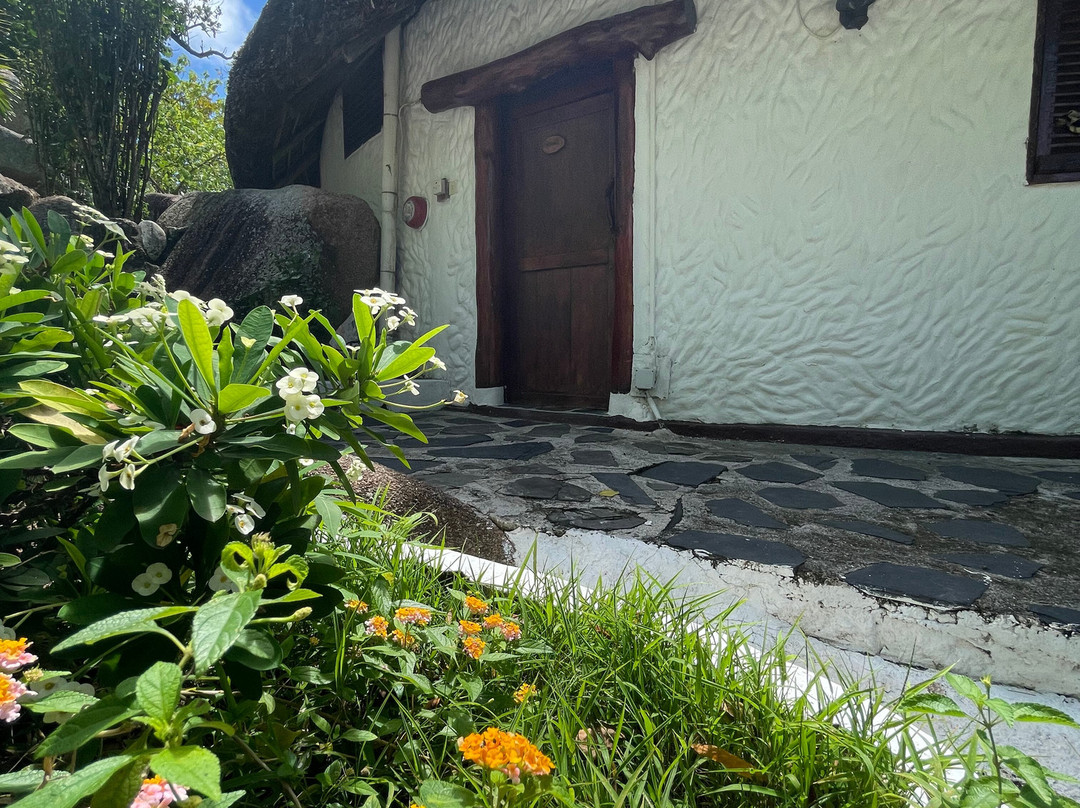 Chauve Souris Relais主图