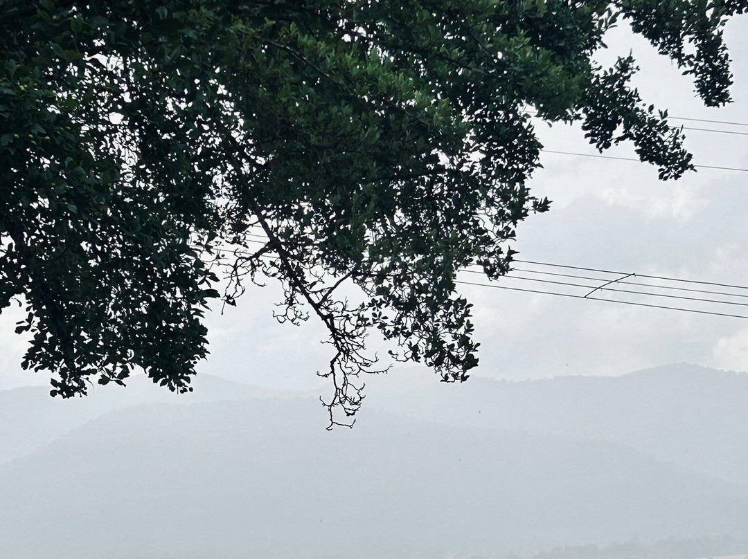 Mountain Creek Motel Bar And Restaurant主图