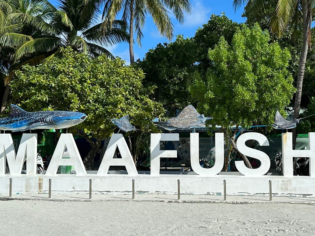 Active Watersports Maafushi景点图片
