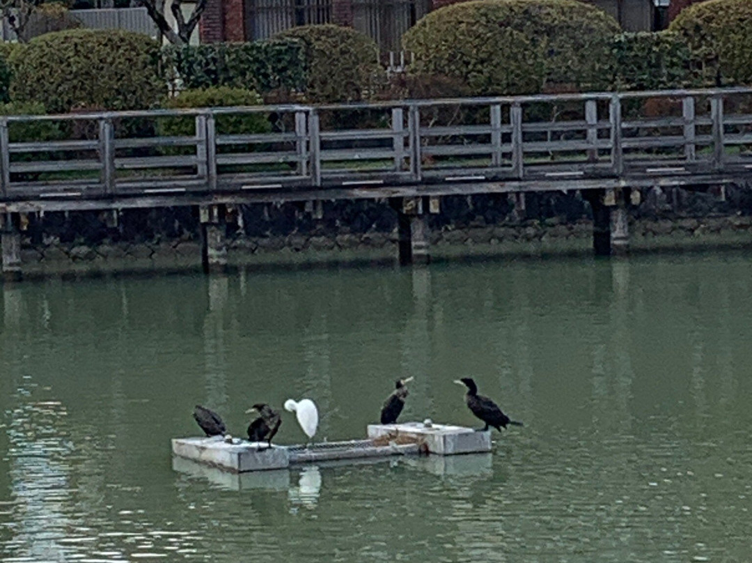 Hachijogaike-长冈京市必去景点