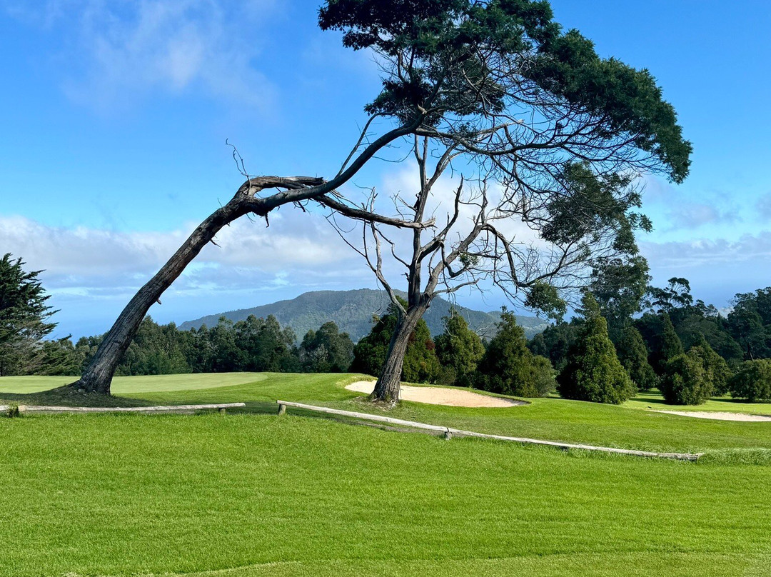 Clube de Golf Santo da Serra景点图片