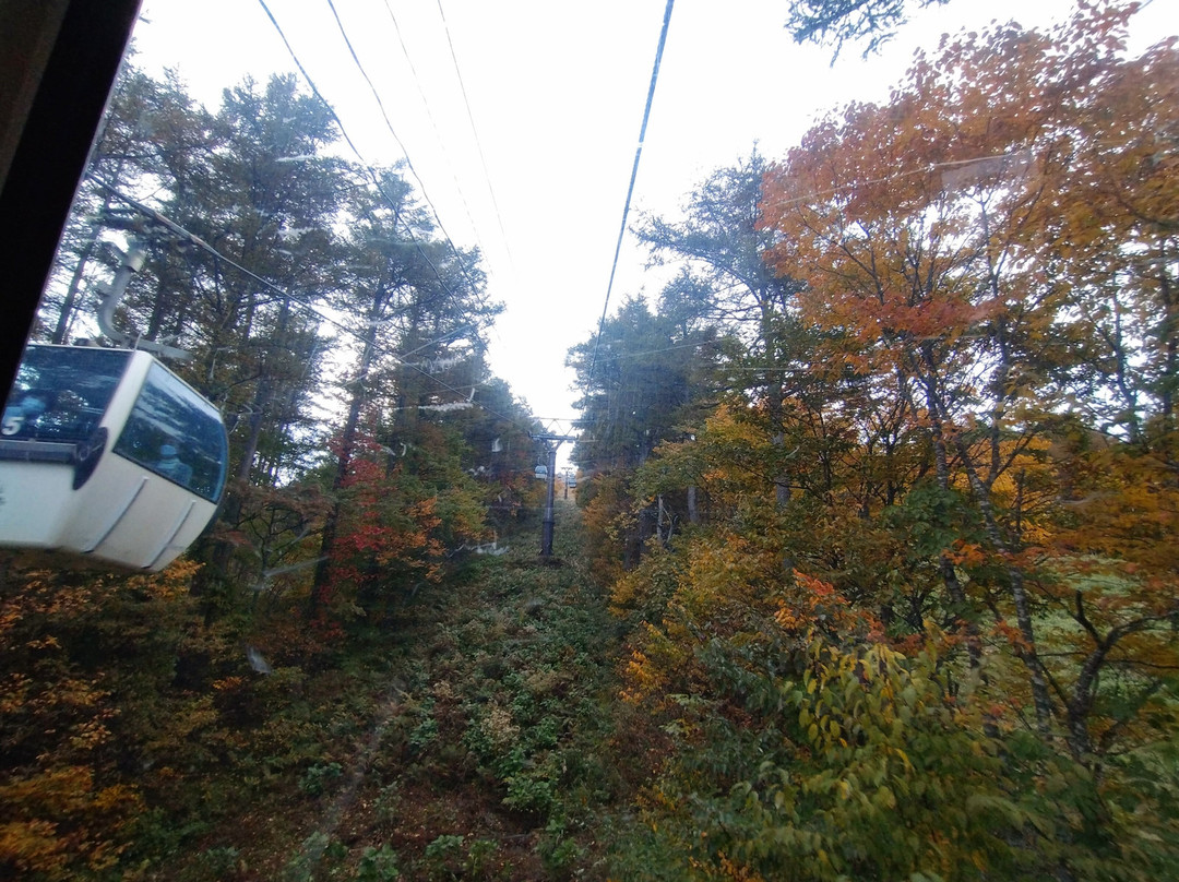 Mt. Adatara Ropeway景点图片
