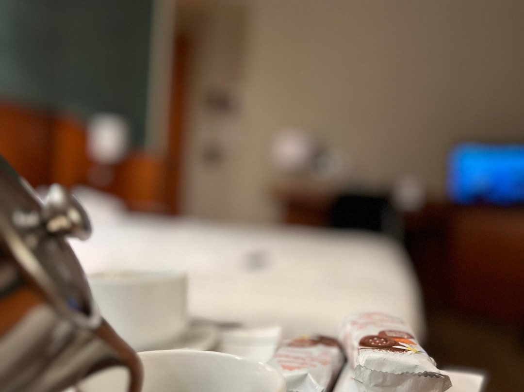 伯露贾公园酒店主图