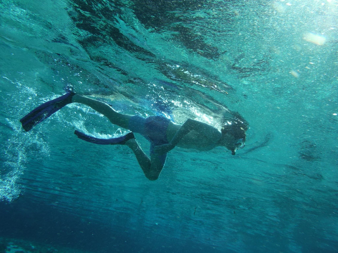 ShantYacht-Astor必去景点