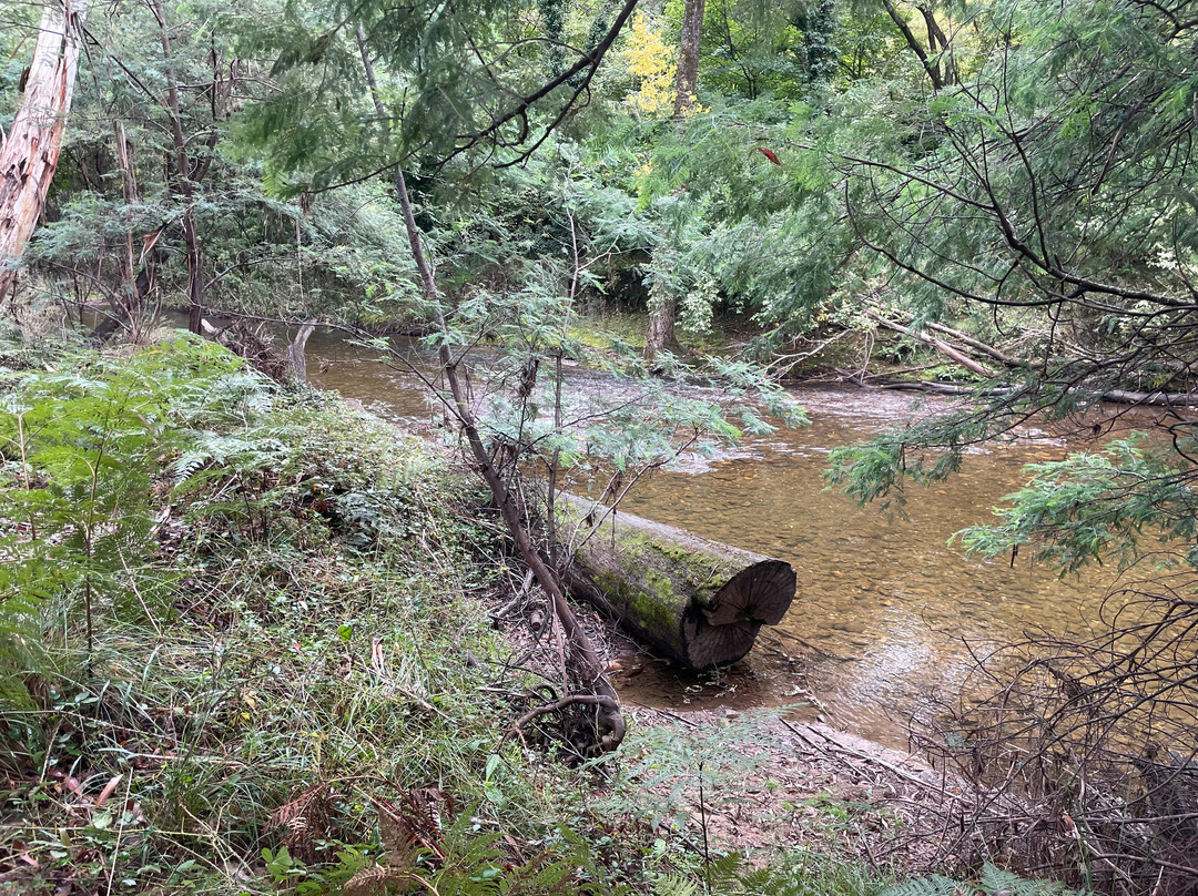 Burnt Bridge Day Visitor Area