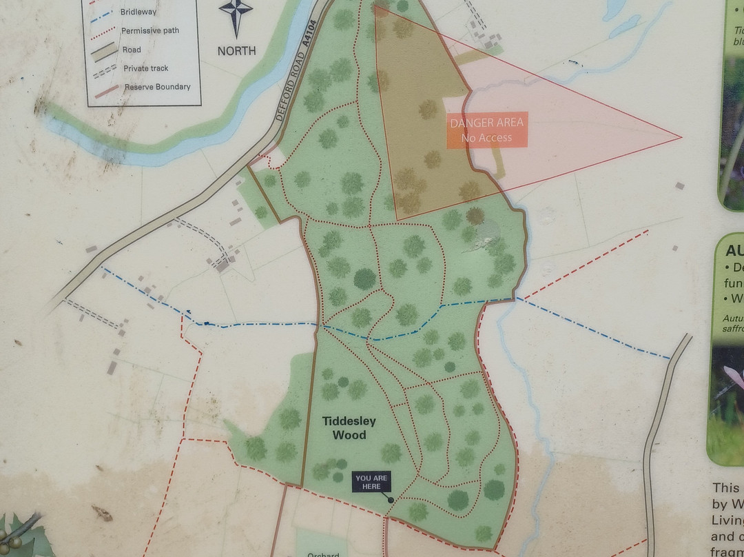 Tiddesley Wood Nature Reserve景点图片