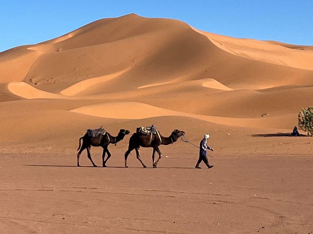 Moroccan Guides Travel景点图片
