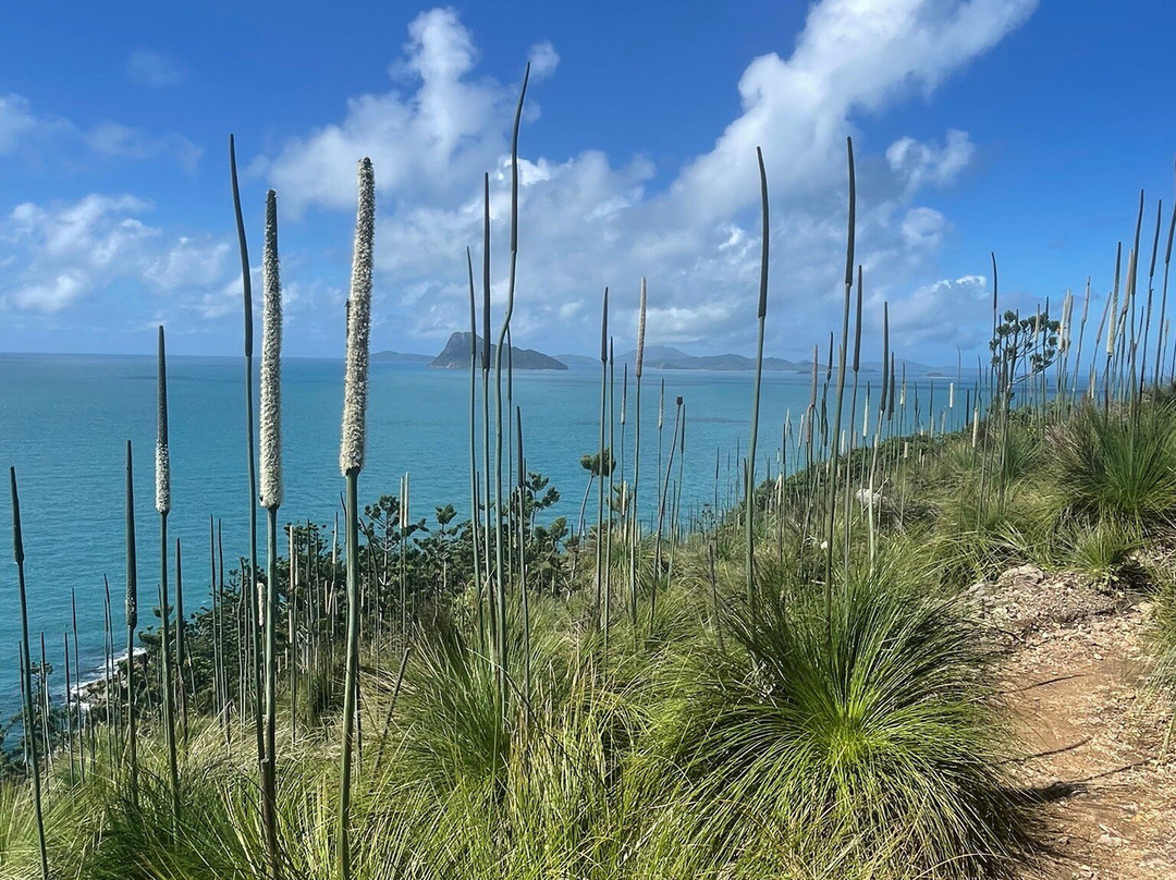 South East Head-汉密尔顿岛必去景点