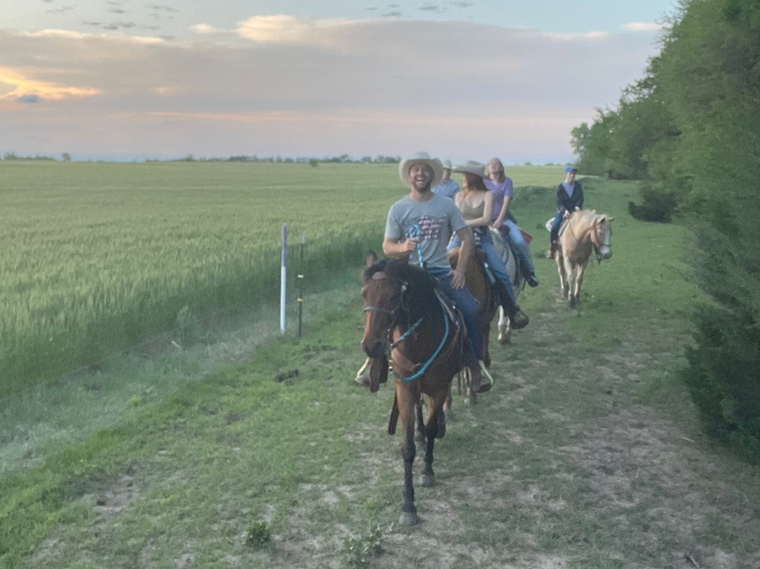 Diamond Springs Ranch-Sedgwick必去景点