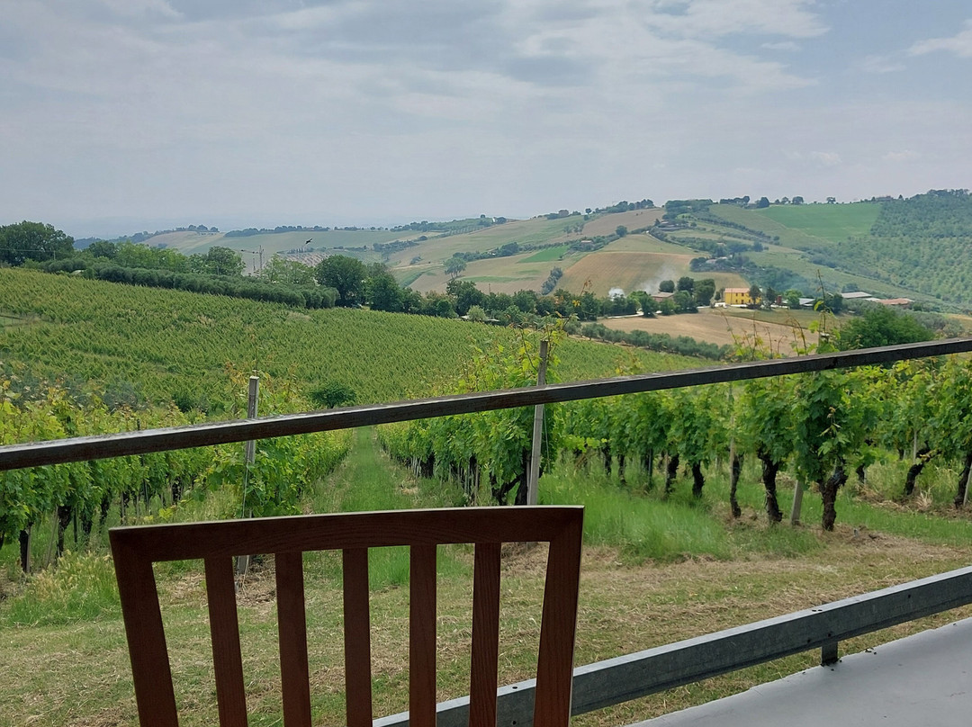 Azienda Agricola Mario Lucchetti-Morro d'Alba必去景点