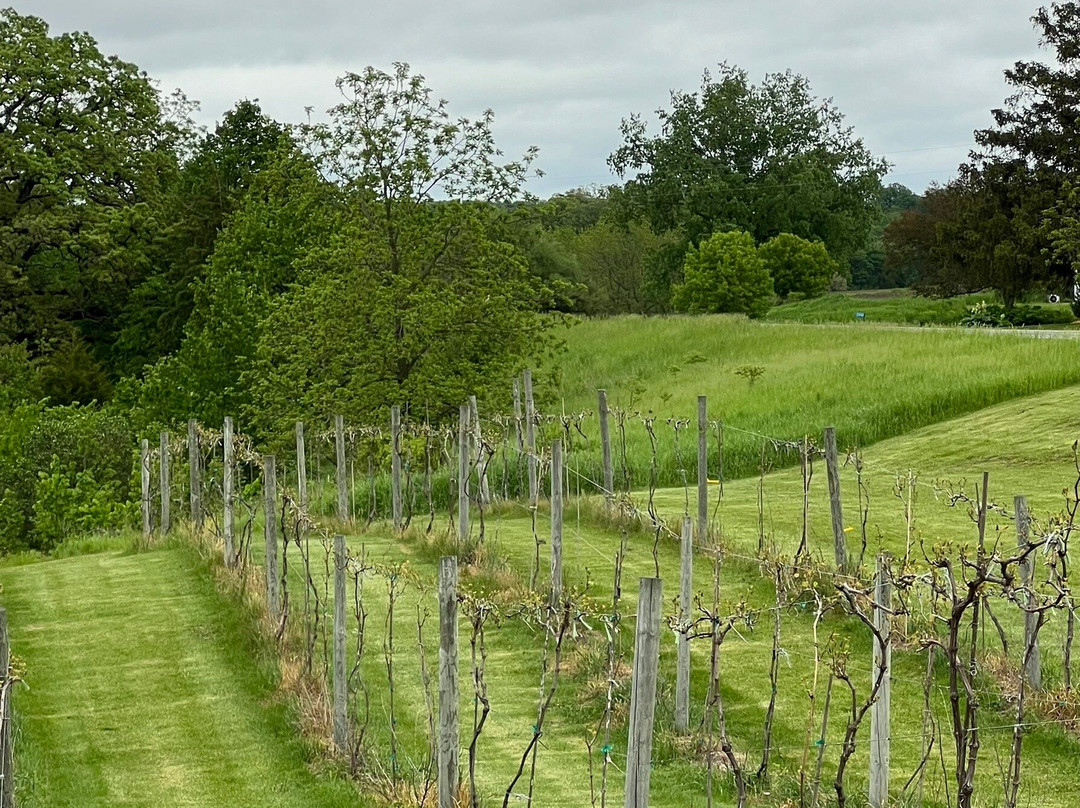 Sugar Creek Vineyard and Meadery-Fountain必去景点
