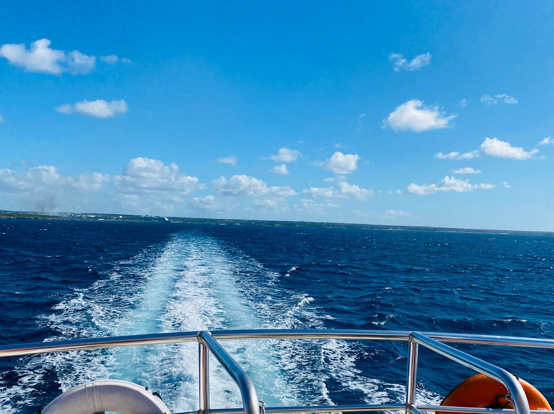 Dominican Quest - Tours-圣多明哥必去景点