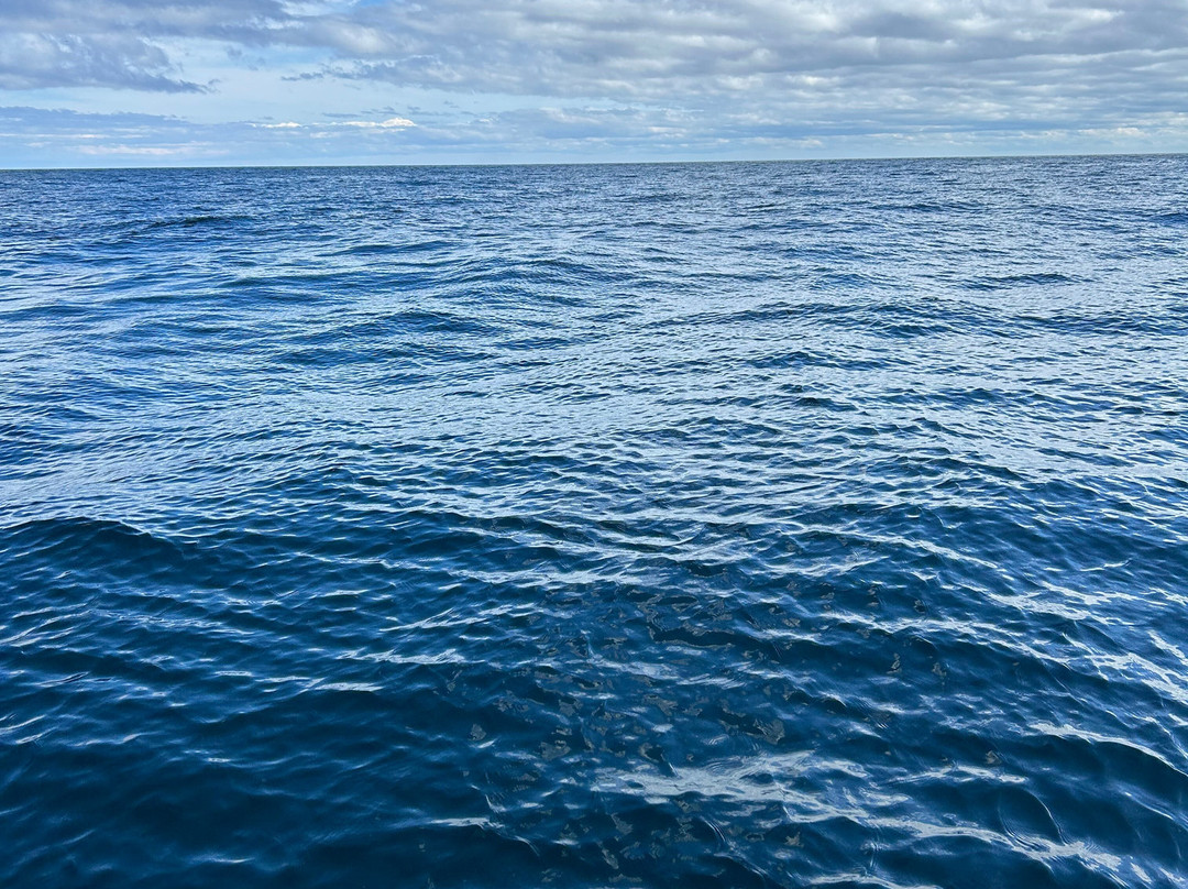 Keltic Express Zodiac Adentures-Ingonish必去景点