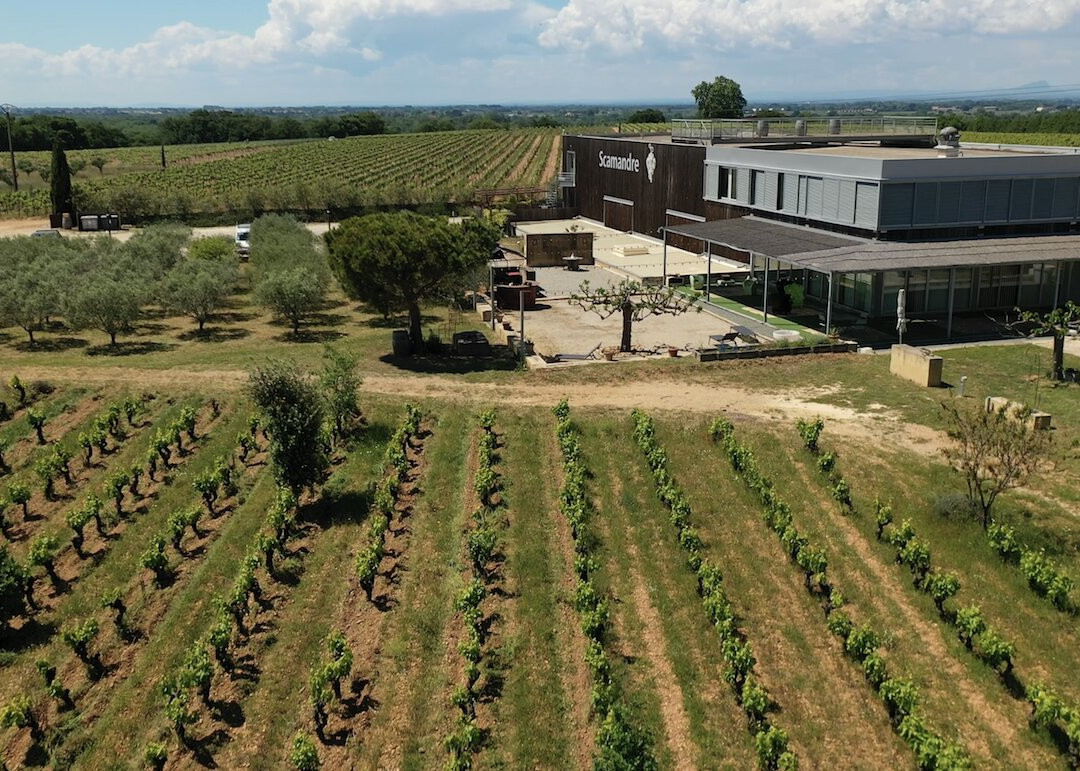 Vignoble Scamandre景点图片