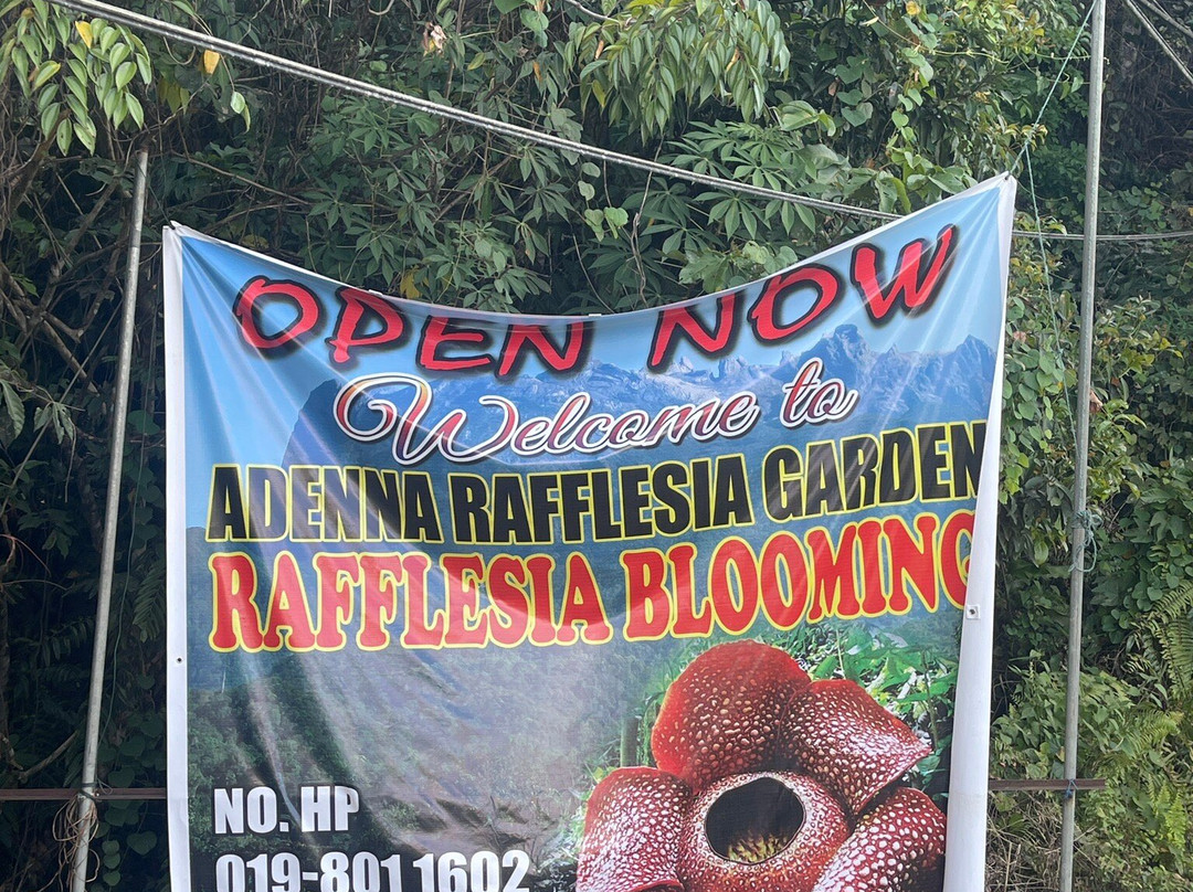 Adenna Rafflesia Garden-Poring必去景点