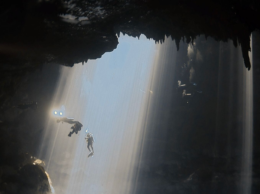 Happy Manta Cenote Diving-普拉亚德尔卡曼必去景点
