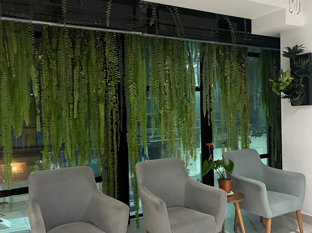 Surya Lima Hotel主图