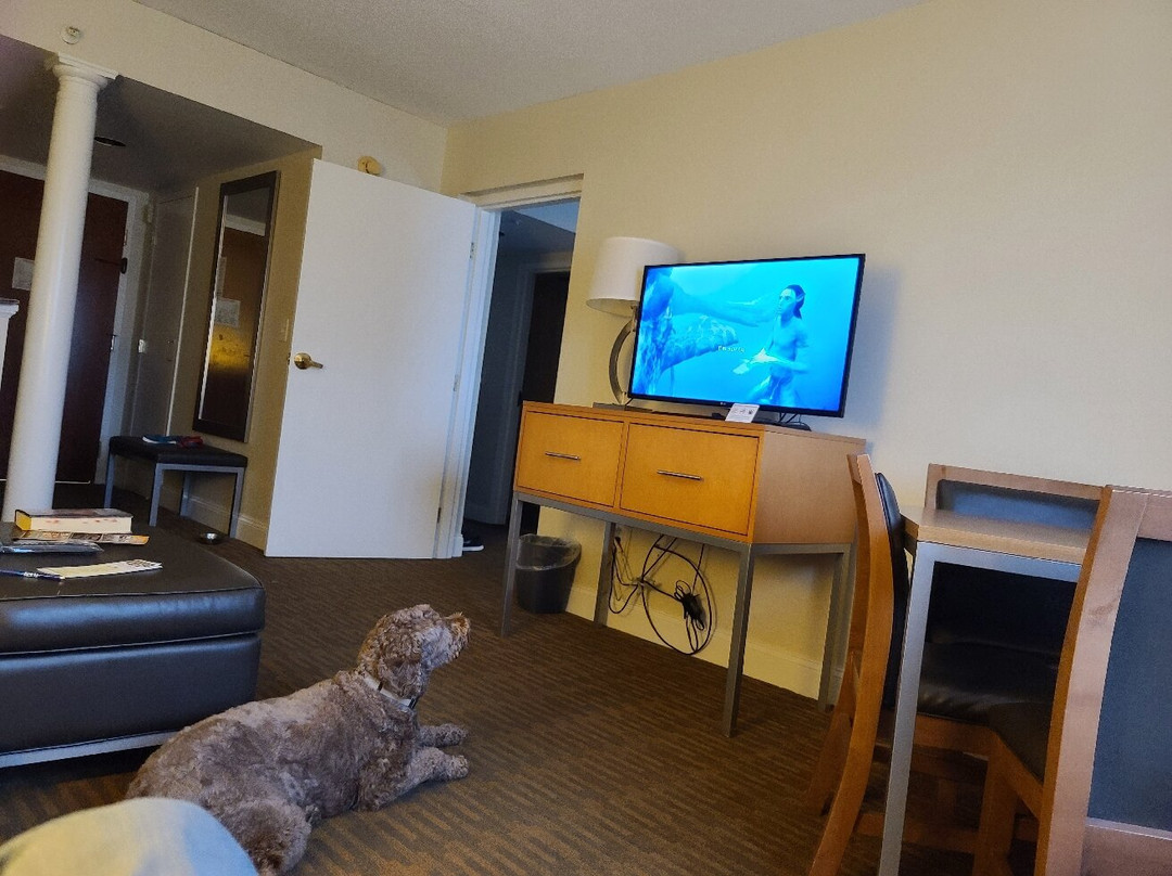 萨拉托加温泉假日酒店主图