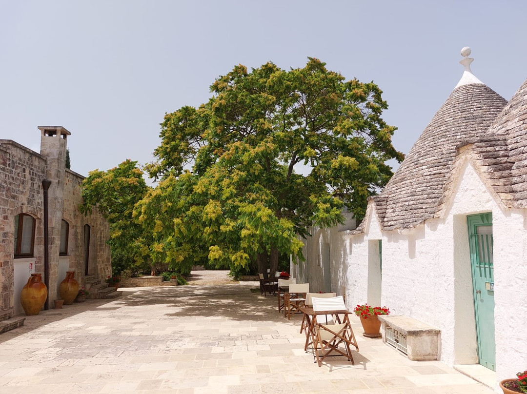 Corte del Camedrio主图