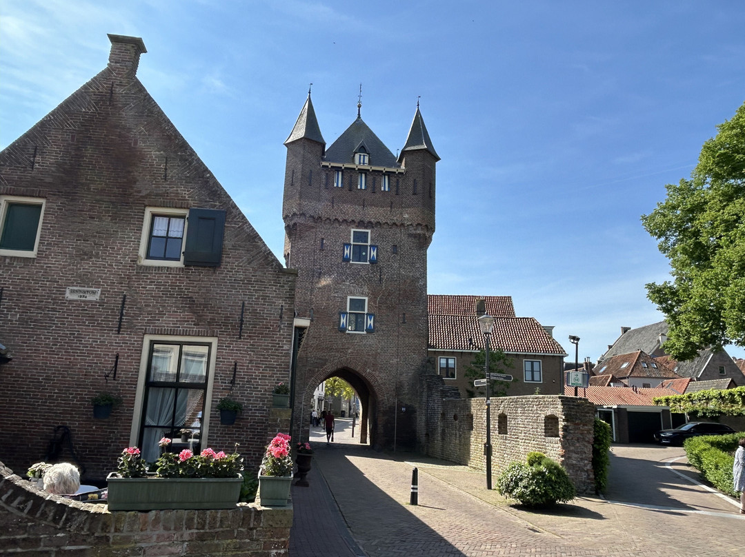 De Dijkpoort van Hattem景点图片