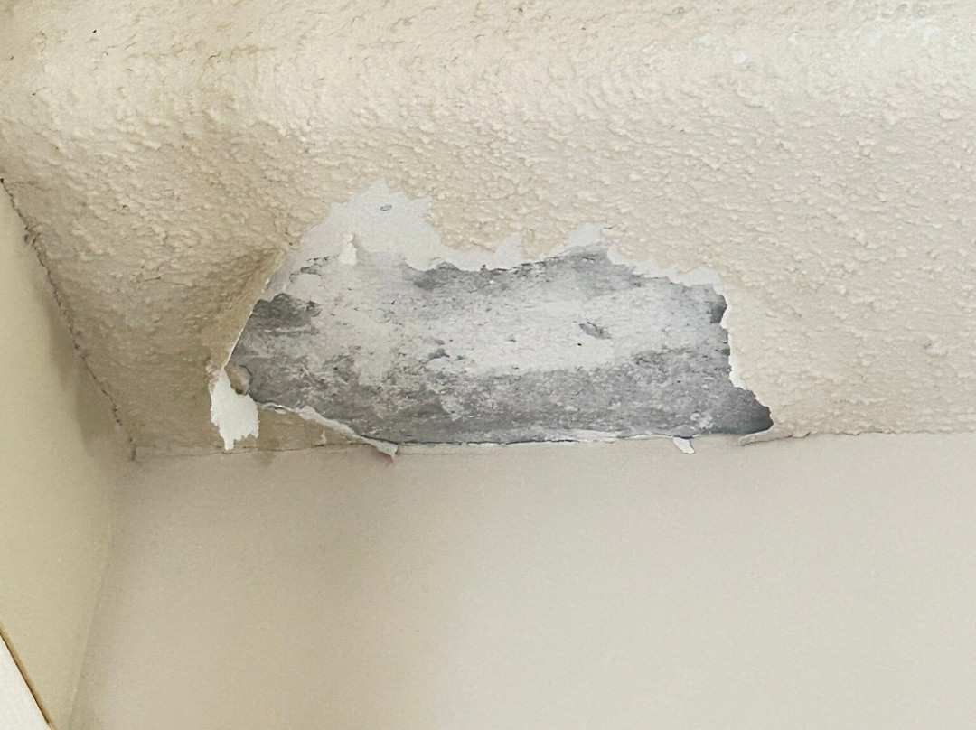 Sugartop Resort主图