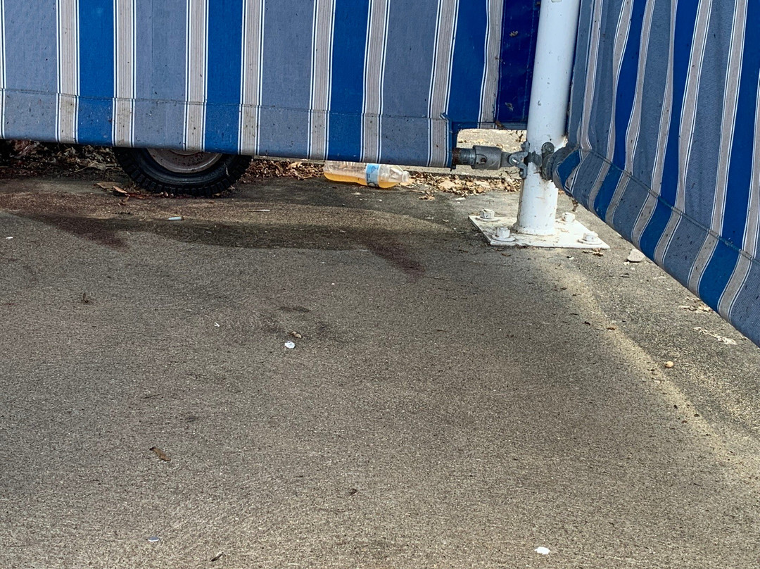 Cedar Point Shores Waterpark