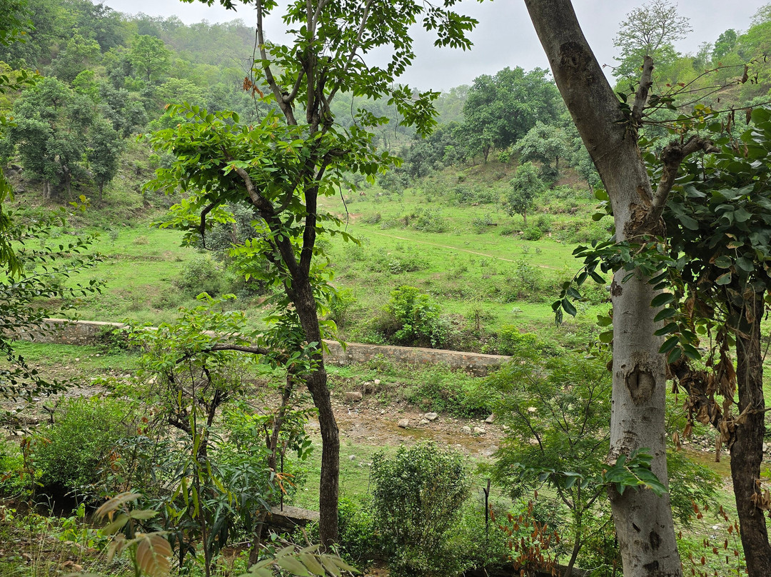 阿兰亚瓦斯酒店主图