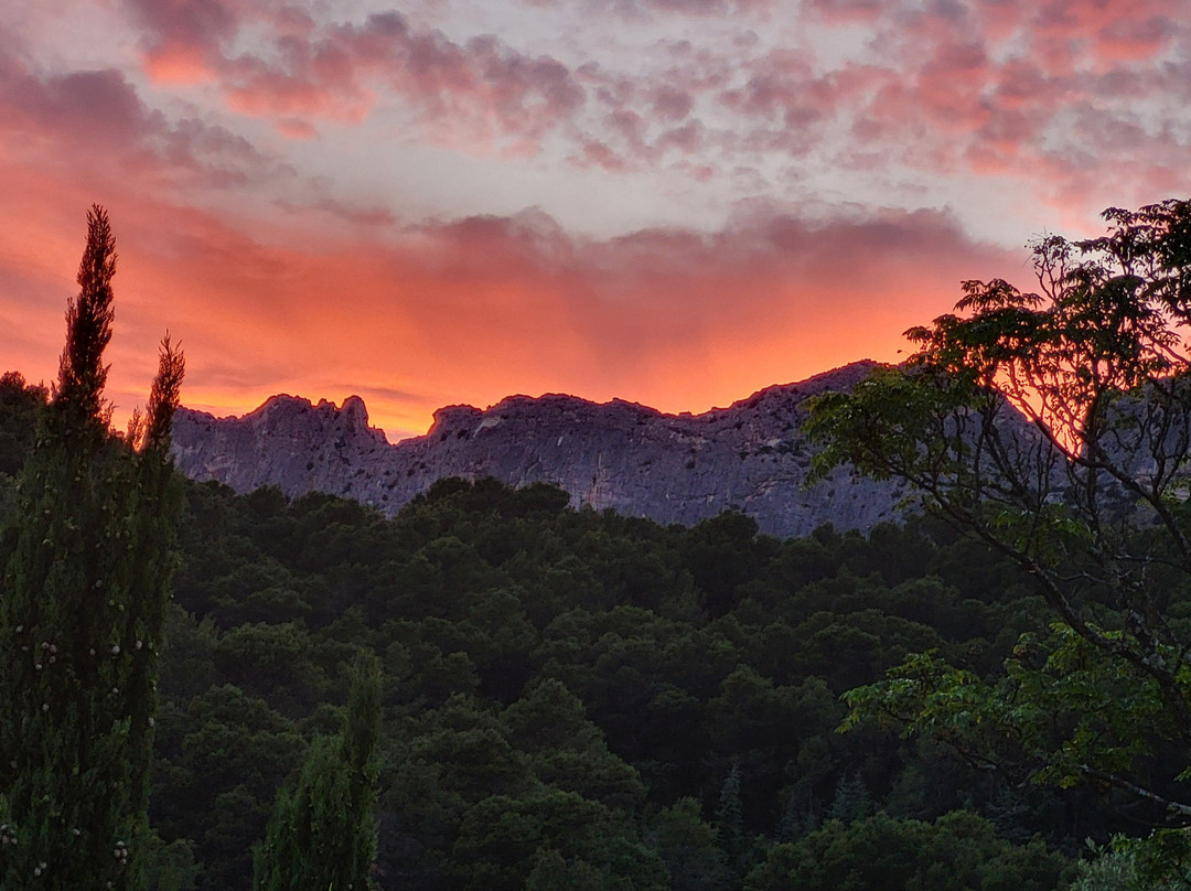 Au Soleil du Bonheur主图